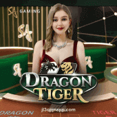 D Dragon Tiger Slot Game Image